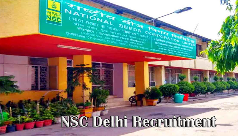 NSC Delhi Recruitment