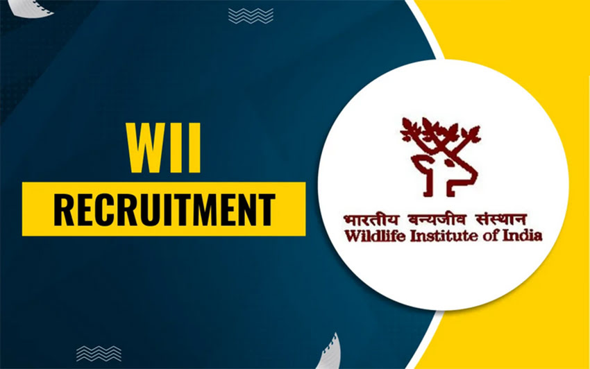 WII Research Recruitment