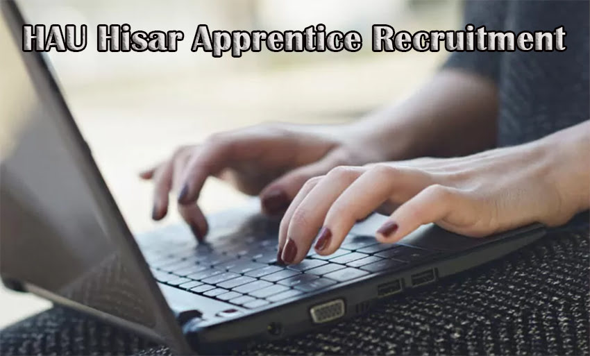 HAU Hisar Apprentice Recruitment