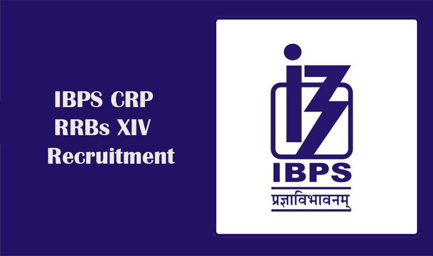 IBPS CRP RRBs XIV Recruitment